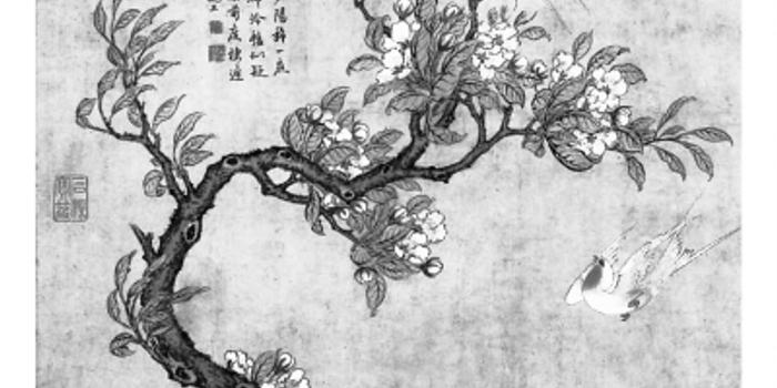 梨花落后二清明,三五少年容易老打一准确生肖全面释义、全面解答解释落实