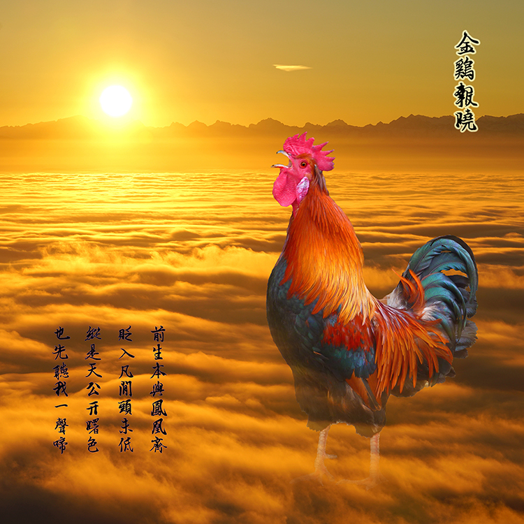 “虾兵蟹将太热闹,金鸡报晓有狗叫”打一最佳准确生肖请全面2释义、解释与落实、统计解答解释落实