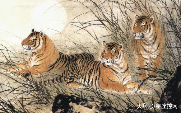 从容不迫打一个生肖精选解析、解释与落实、专家解答解释落实