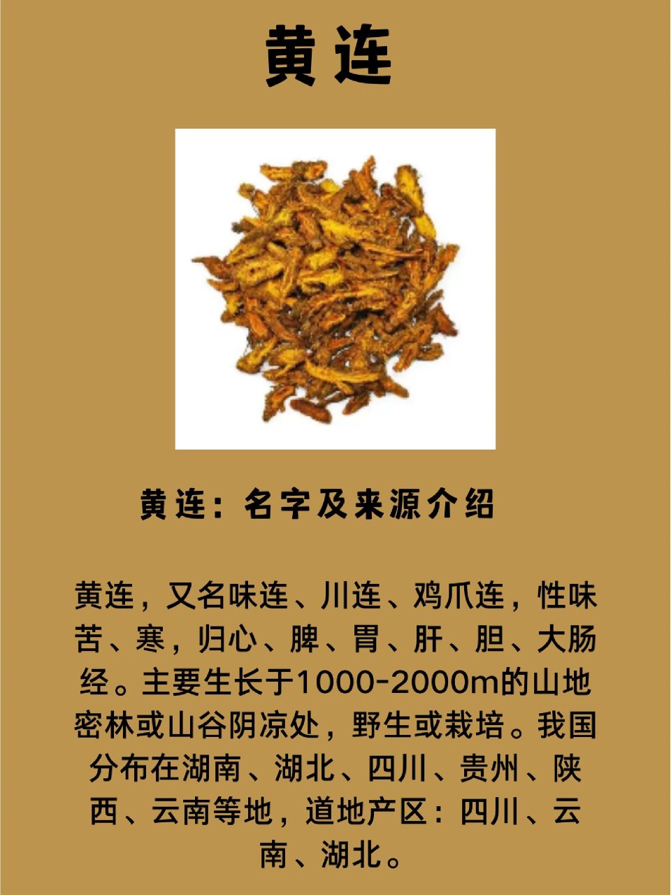 谁言忆苦可思甜，犹似哑子吃黄莲打一正确生肖，详细解答、全面解答解释落实