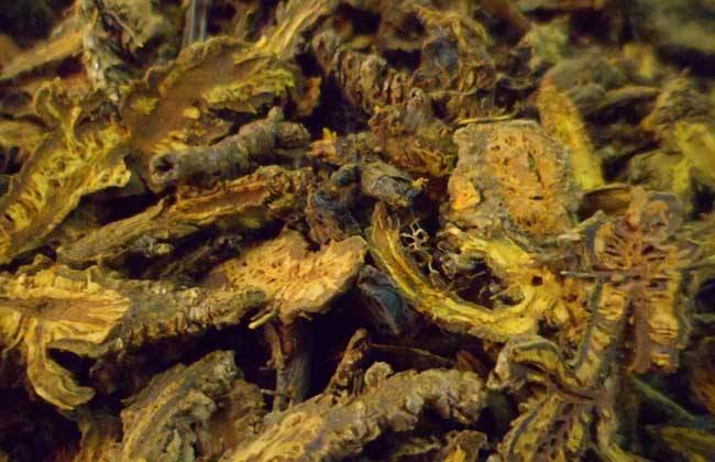 谁言忆苦可思甜，犹似哑子吃黄莲打一正确生肖与警惕虚假宣传-全面释义、实证解答解释落实