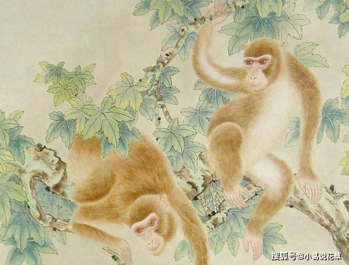 一八引领归宿地,夏到家门渐吉昌是什么生肖，详细解答、专家解答解释落实