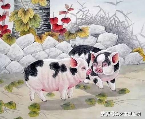 今期生肖二三开,一模一样双胞胎指猜打一最佳精准生肖请全面2释义、解释与落实、定量解答解释落实