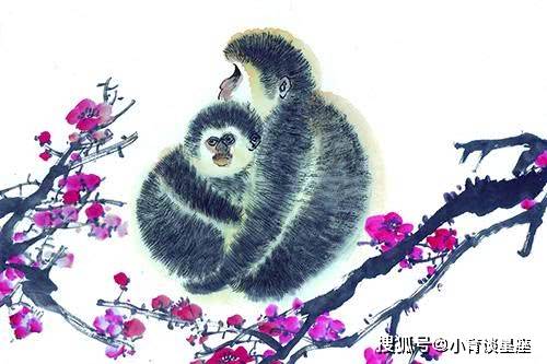 欲钱买娇小玲珑的动物是什么生肖仔细释义、解释与落实、科学解答解释落实