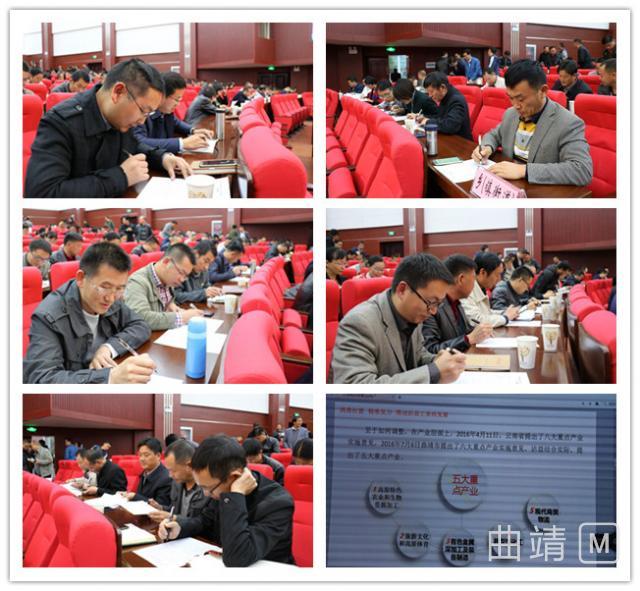 草木皆兵打一准确生肖,警惕虚假宣传,专家解答解释落实